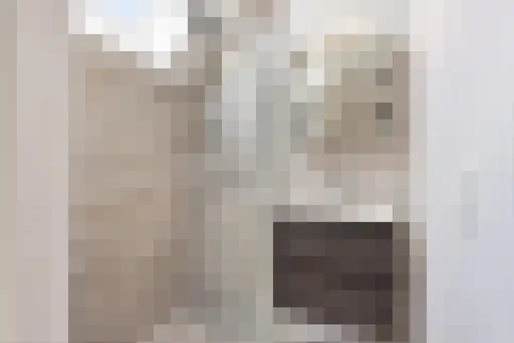 De Traan Kokerij 42 Stavoren thumbnail 29