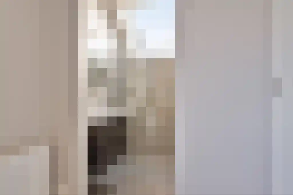 De Traan Kokerij 42 Stavoren thumbnail 31