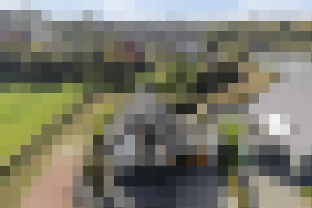De Traan Kokerij 42 Stavoren thumbnail 40