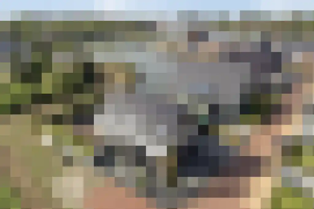 De Traan Kokerij 42 Stavoren thumbnail 41