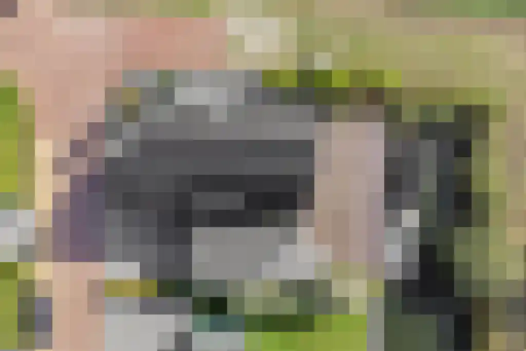 De Traan Kokerij 42 Stavoren thumbnail 42