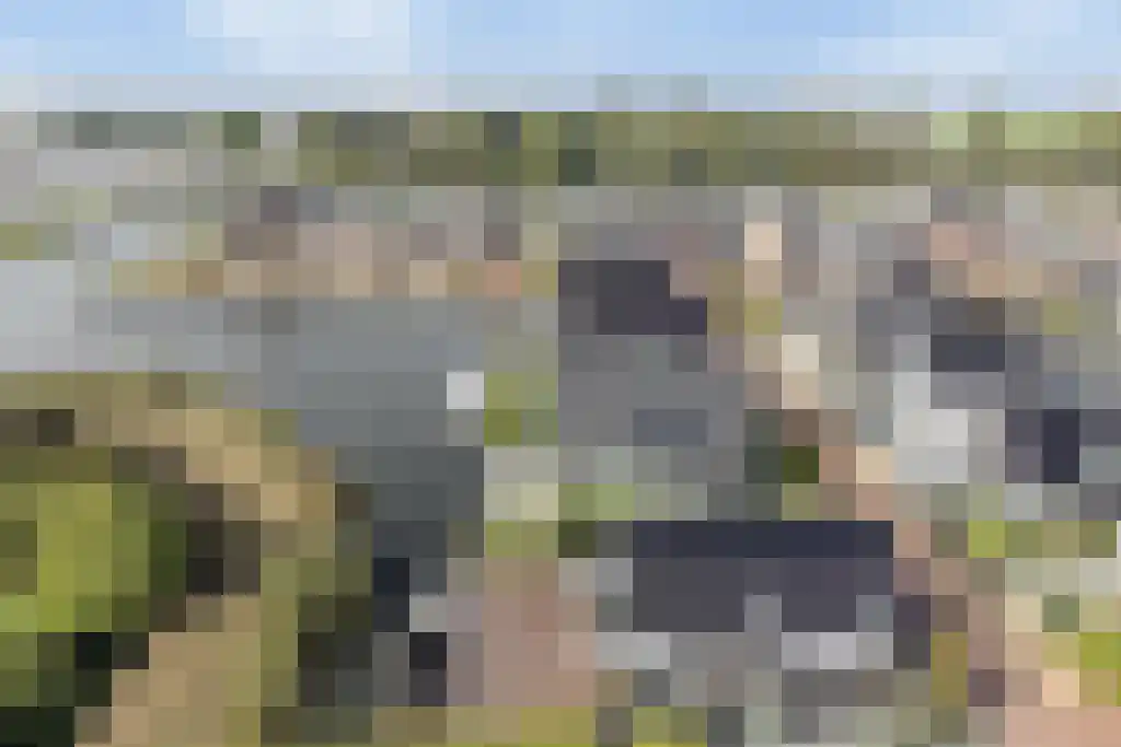 De Traan Kokerij 42 Stavoren thumbnail 43