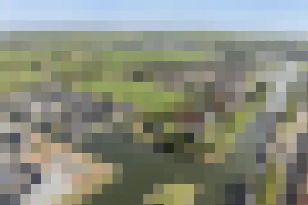 De Traan Kokerij 42 Stavoren thumbnail 45