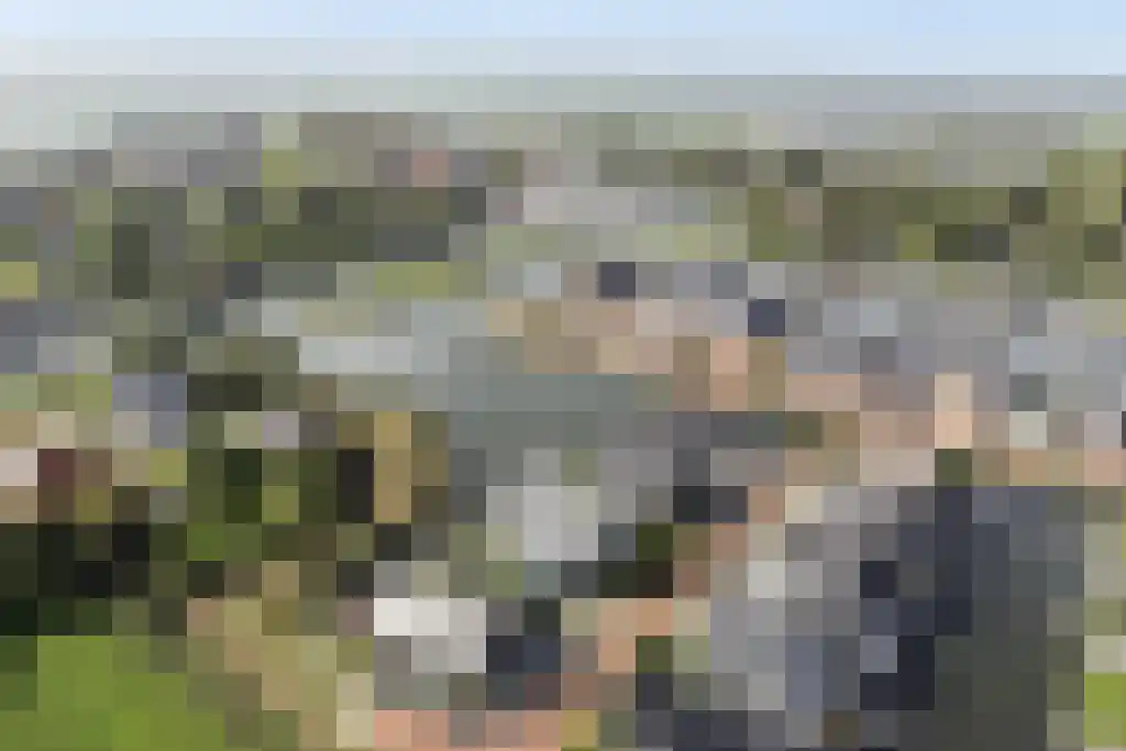 De Traan Kokerij 42 Stavoren thumbnail 5