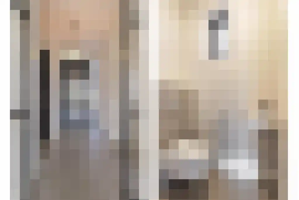 De Traan Kokerij 42 Stavoren thumbnail 6
