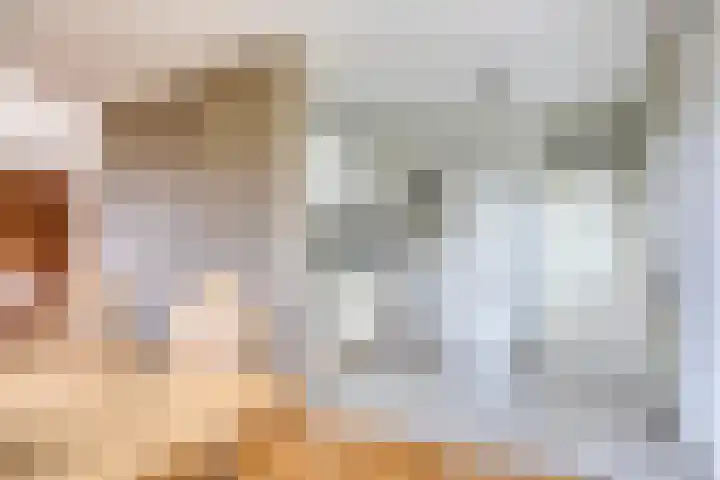 De Traanbok 1 Bovenkarspel thumbnail 10