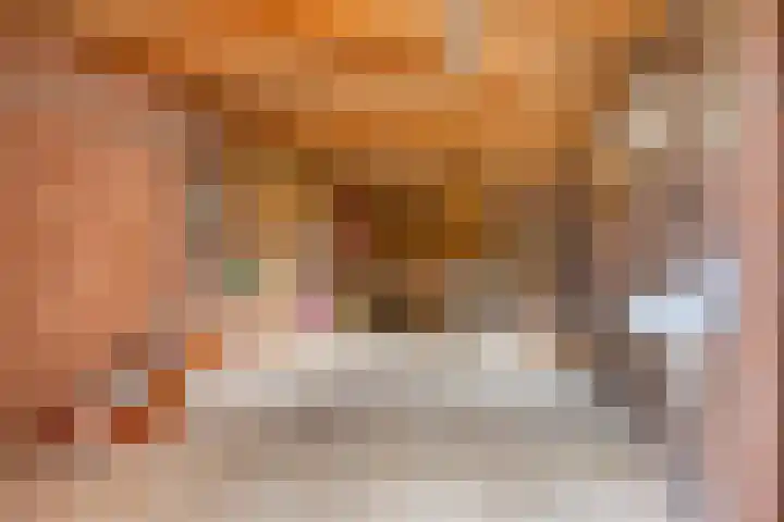 De Traanbok 1 Bovenkarspel thumbnail 13
