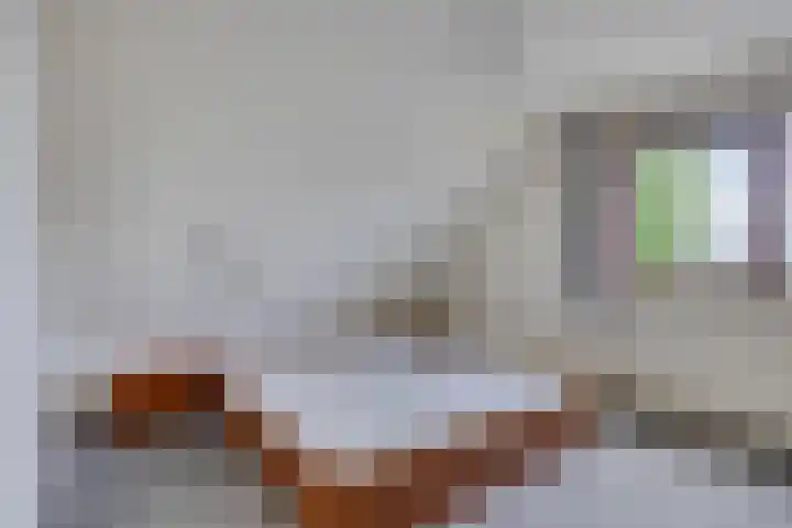 De Traanbok 1 Bovenkarspel thumbnail 14