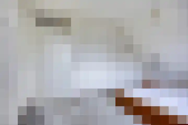 De Traanbok 1 Bovenkarspel thumbnail 15