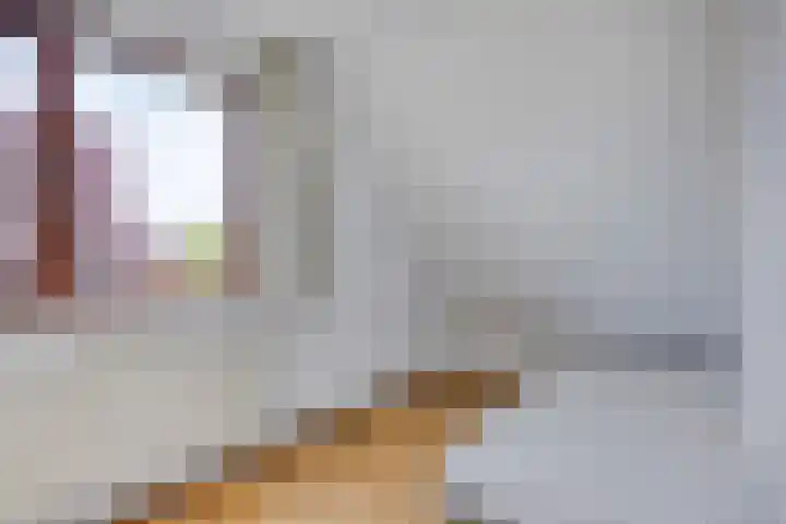 De Traanbok 1 Bovenkarspel thumbnail 16