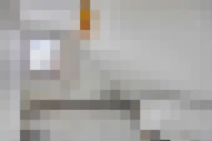 De Traanbok 1 Bovenkarspel thumbnail 19