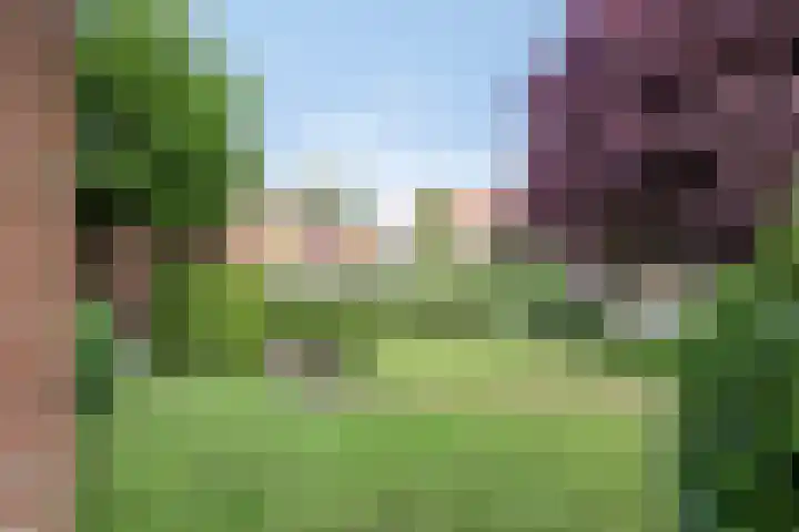 De Traanbok 1 Bovenkarspel thumbnail 22