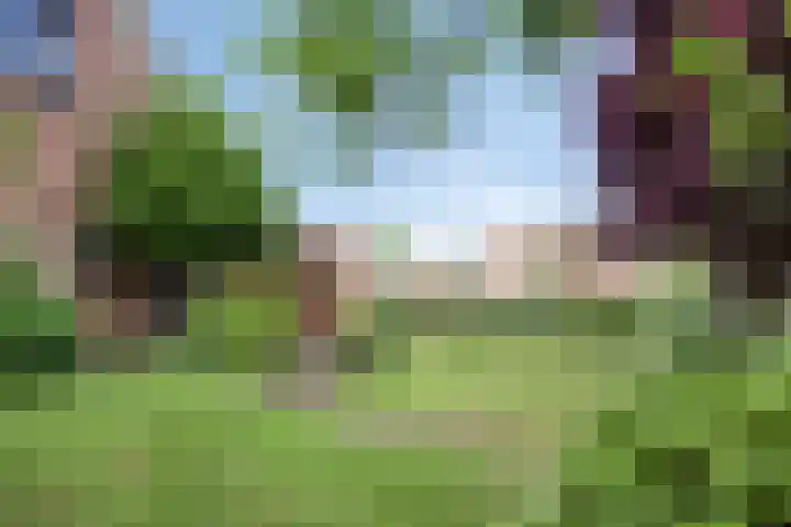 De Traanbok 1 Bovenkarspel thumbnail 23