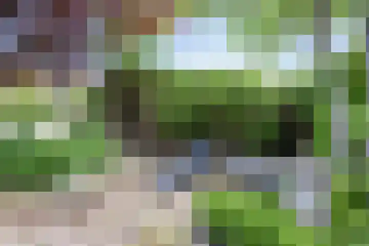 De Traanbok 1 Bovenkarspel thumbnail 24