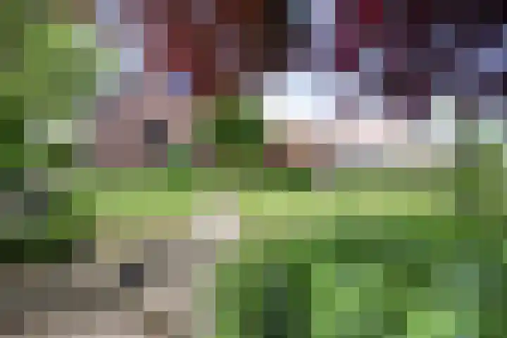 De Traanbok 1 Bovenkarspel thumbnail 25