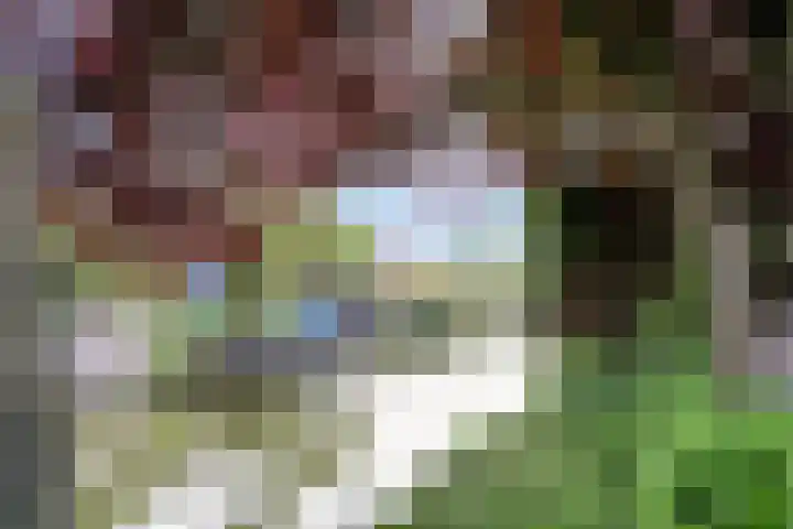 De Traanbok 1 Bovenkarspel thumbnail 28