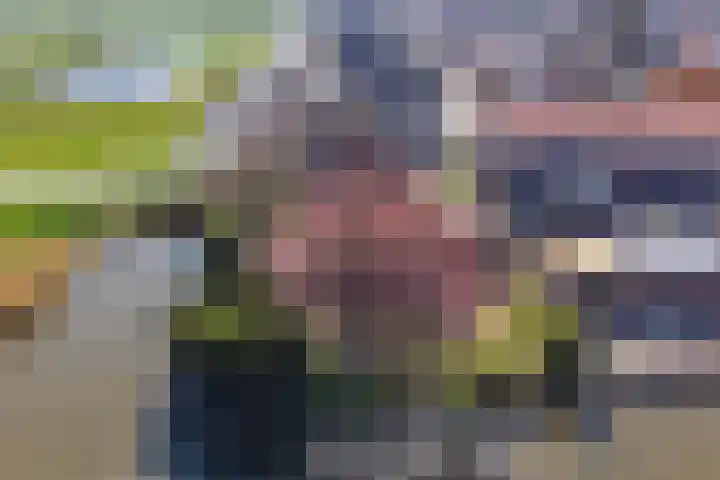 De Traanbok 1 Bovenkarspel thumbnail 32