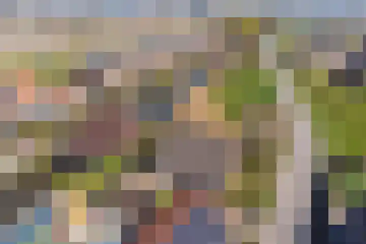 De Traanbok 1 Bovenkarspel thumbnail 33