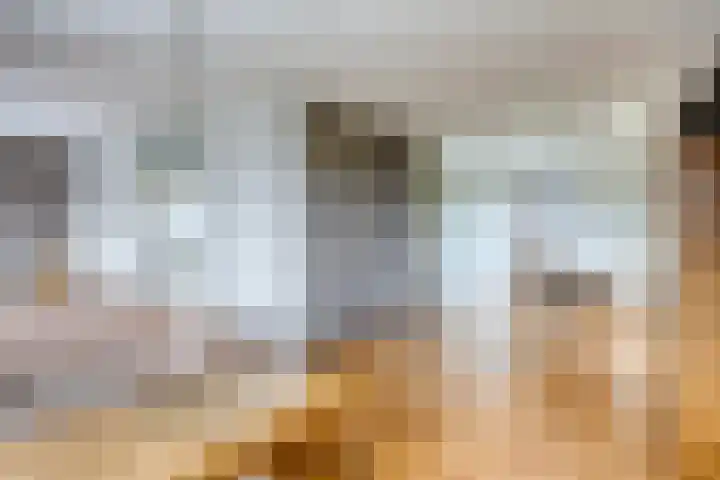 De Traanbok 1 Bovenkarspel thumbnail 4