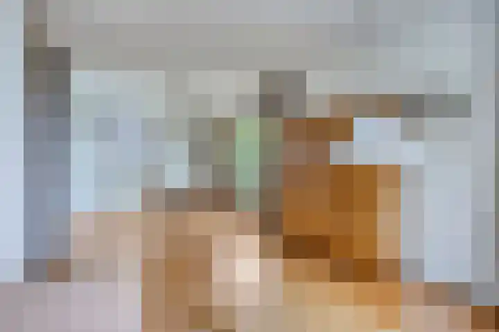 De Traanbok 1 Bovenkarspel thumbnail 8