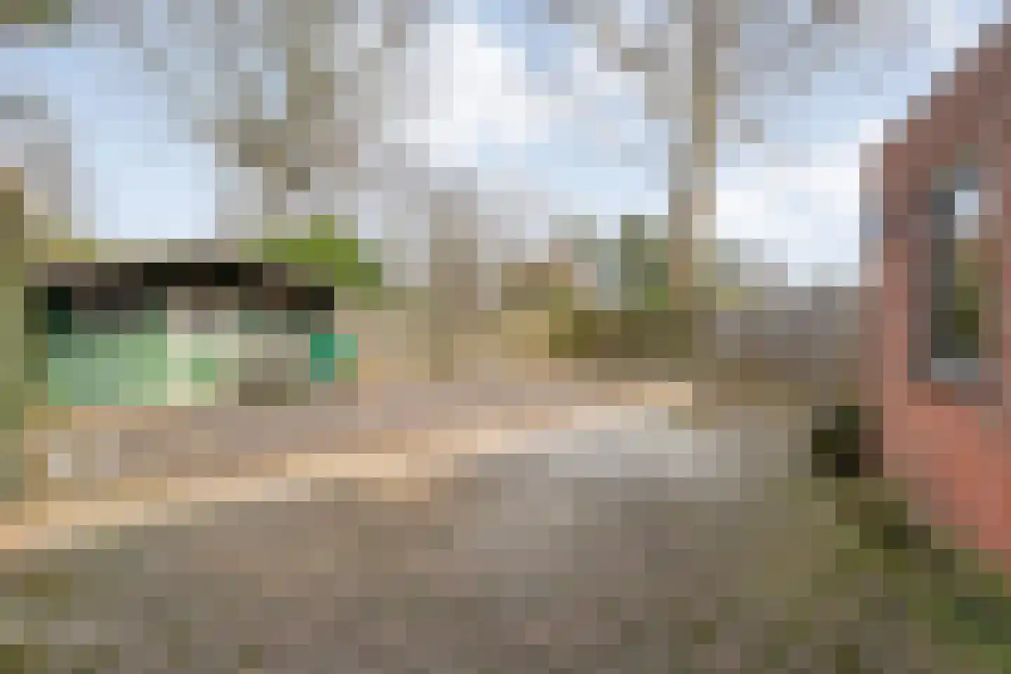 De Traden 28 Emmen thumbnail 27