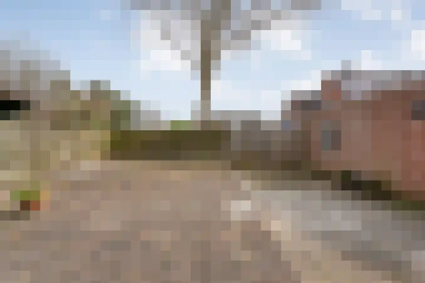 De Traden 28 Emmen thumbnail 28
