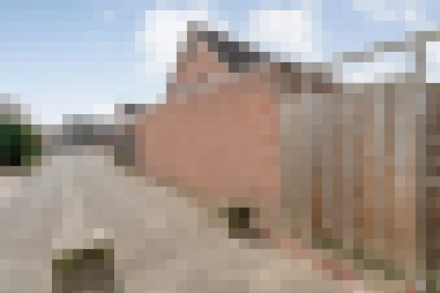 De Traden 28 Emmen thumbnail 33
