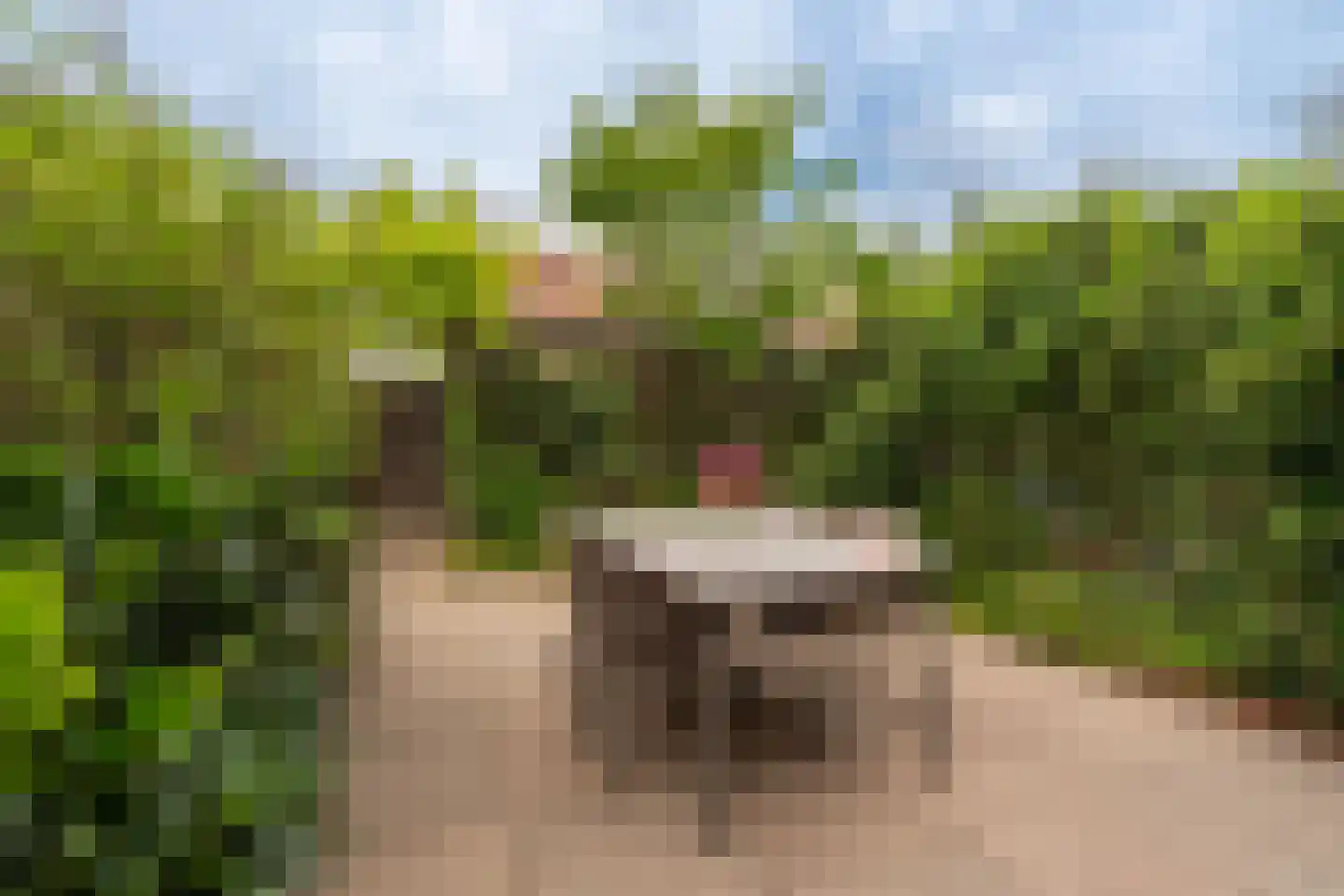 De Trekschuit 17 Diemen thumbnail 26