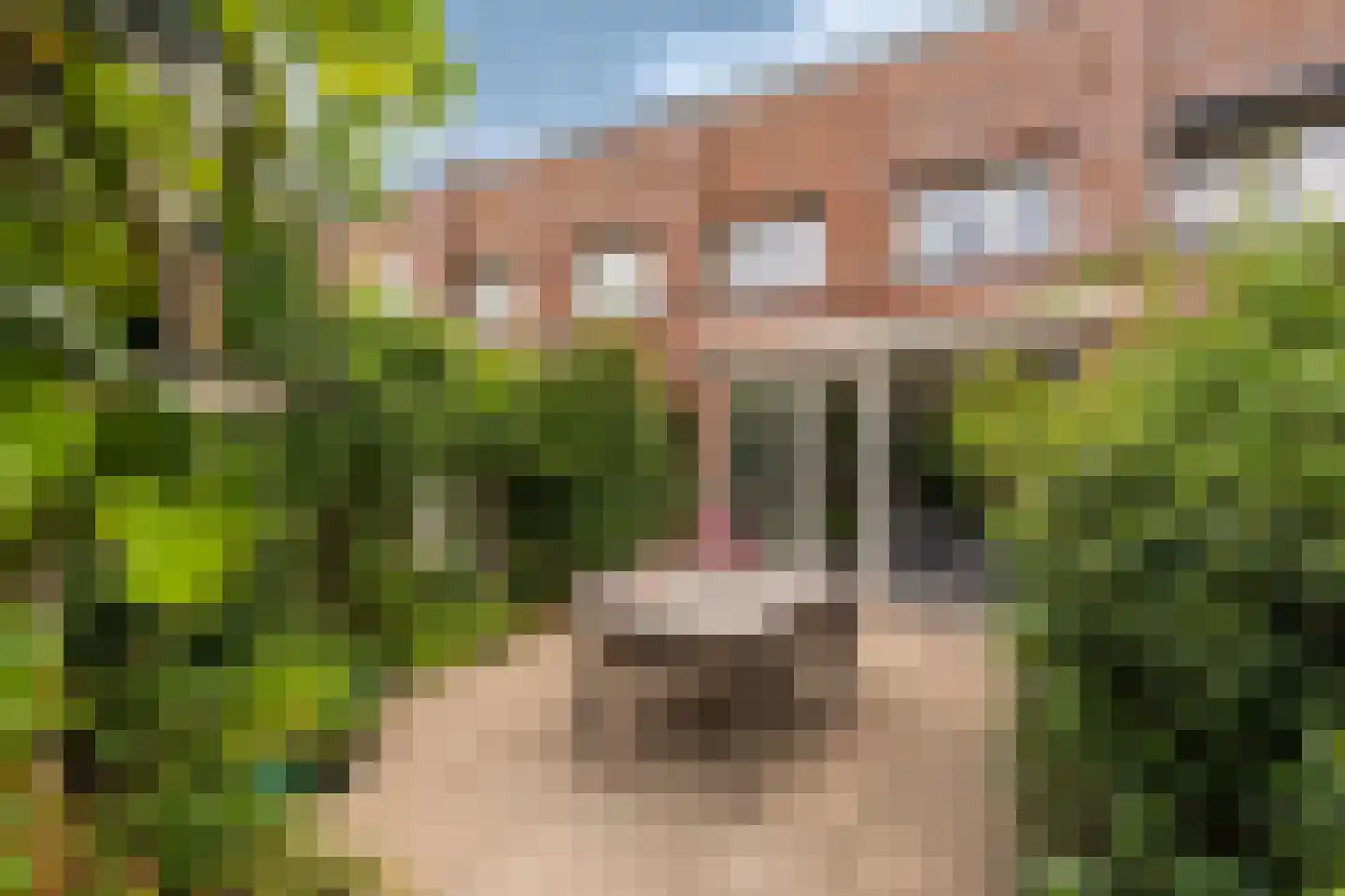 De Trekschuit 17 Diemen thumbnail 28