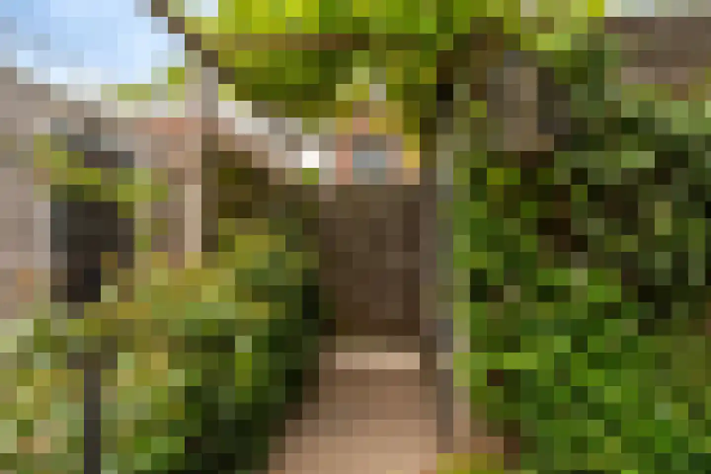 De Trekschuit 17 Diemen thumbnail 29