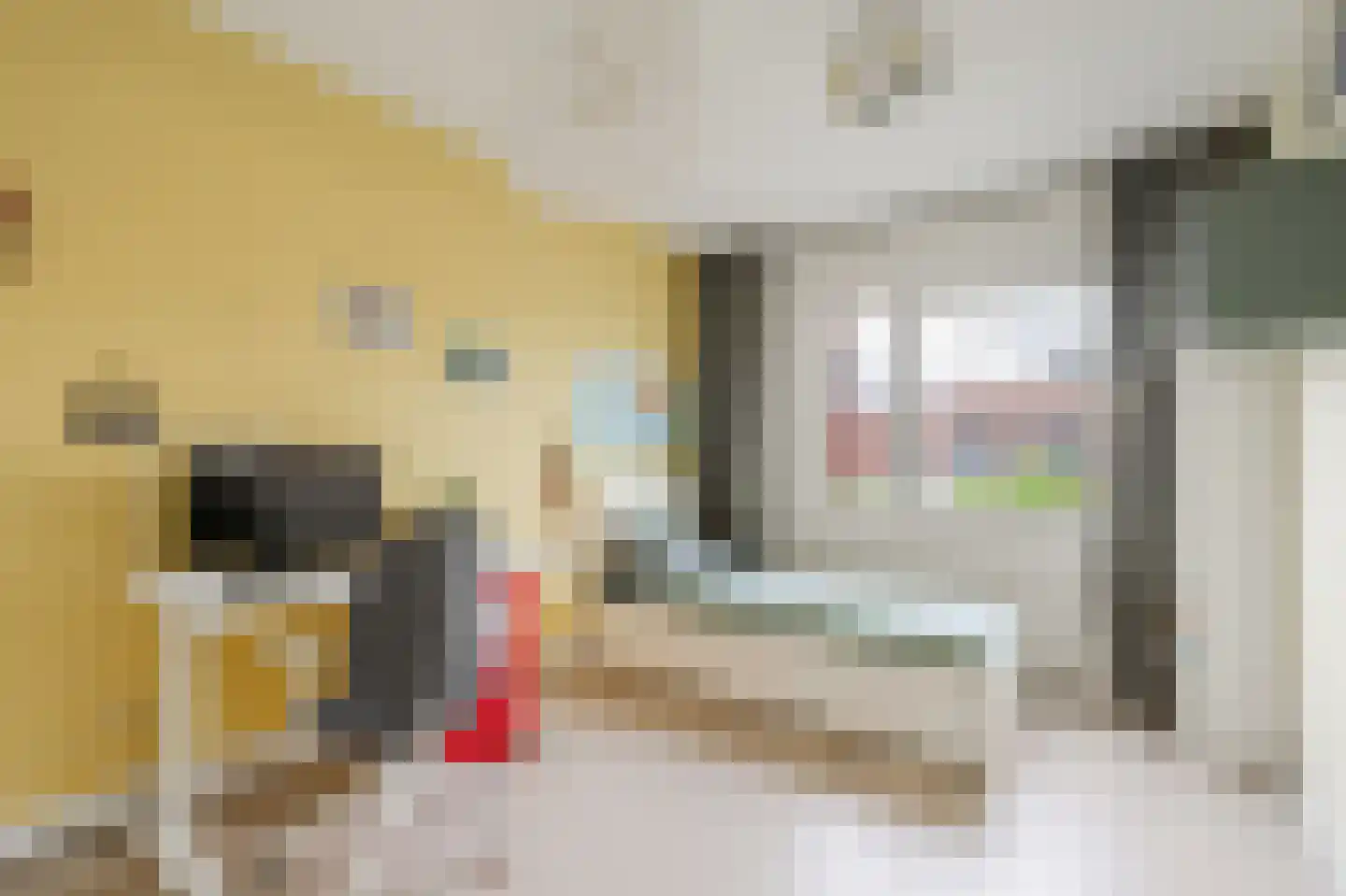 De Trekschuit 17 Diemen thumbnail 34