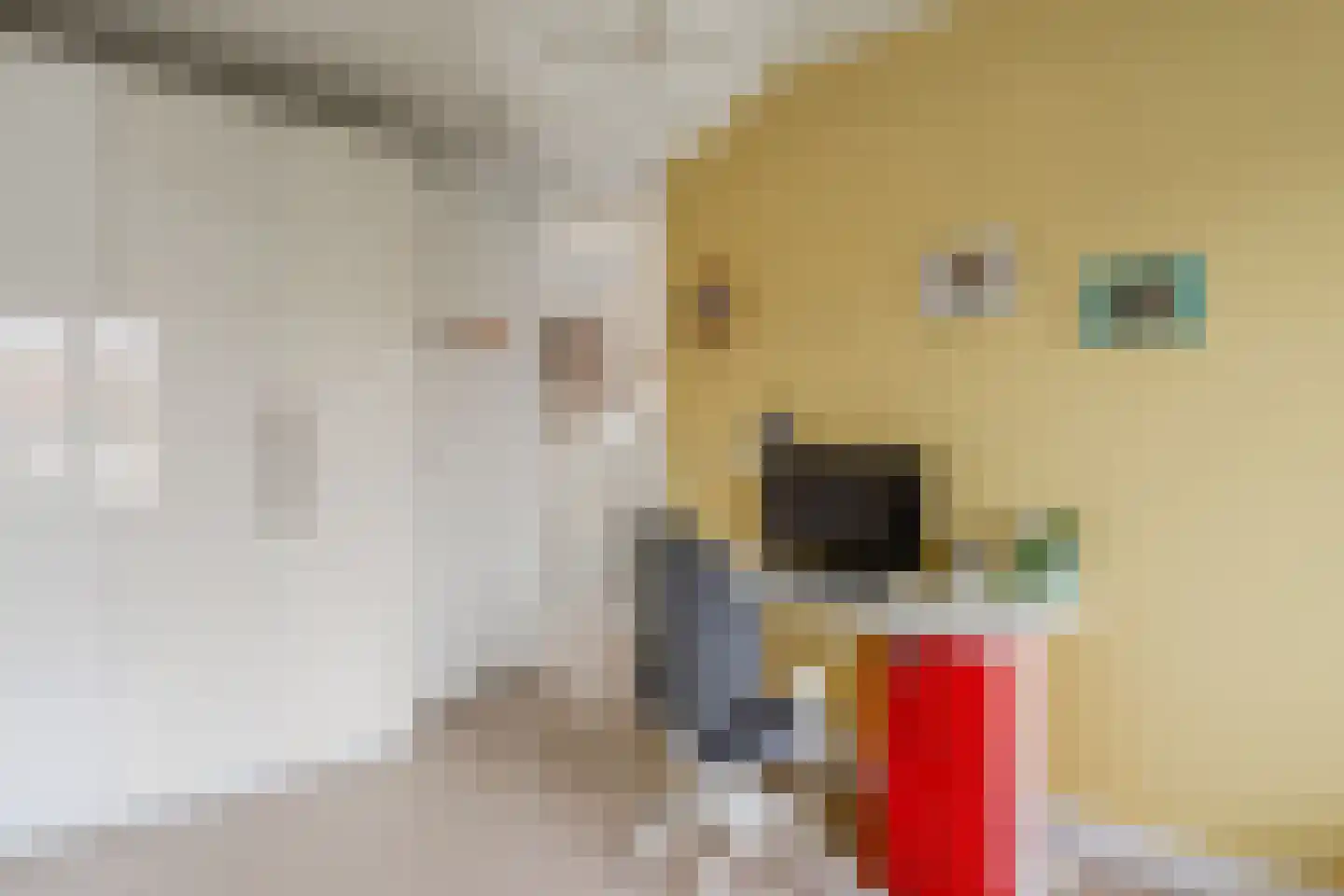 De Trekschuit 17 Diemen thumbnail 35