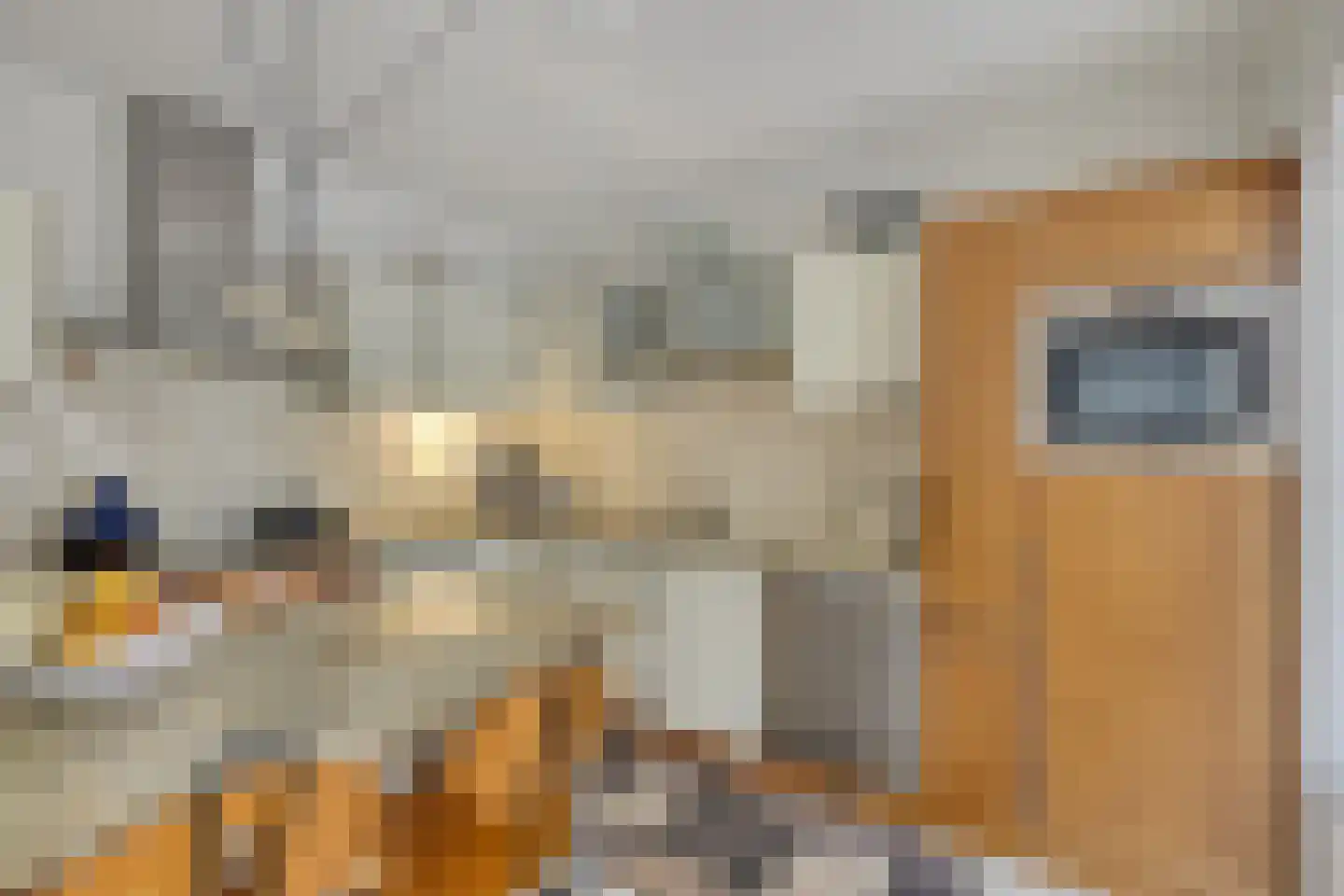 De Trepkes 7 Maarheeze thumbnail 15