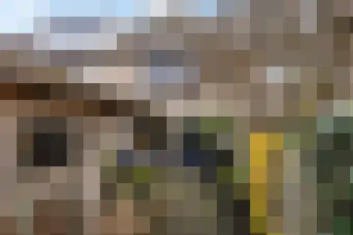 De Tribune 10 Zaandam thumbnail 18
