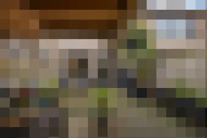 De Tribune 10 Zaandam thumbnail 20