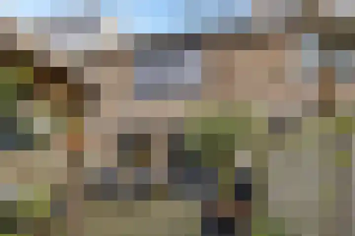 De Tribune 10 Zaandam thumbnail 21