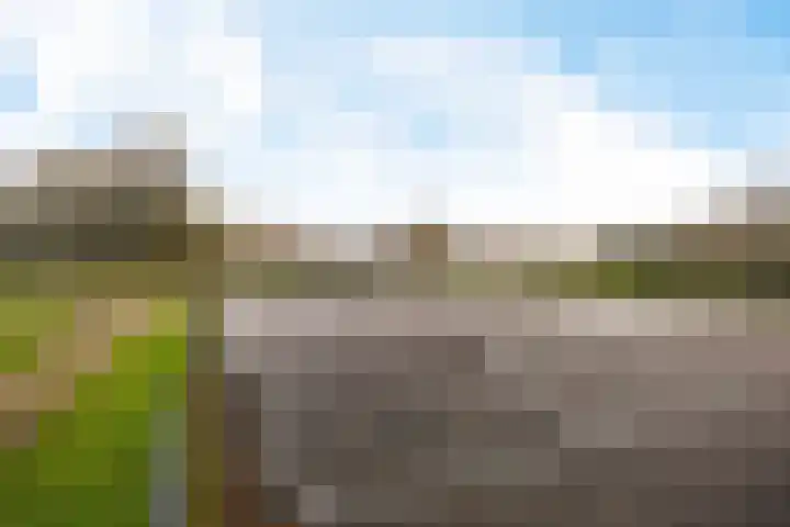 De Tribune 10 Zaandam thumbnail 46