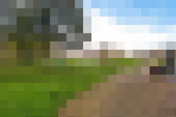 De Tribune 10 Zaandam thumbnail 47