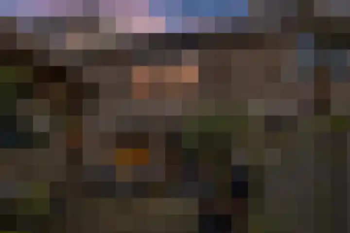 De Tribune 10 Zaandam thumbnail 6