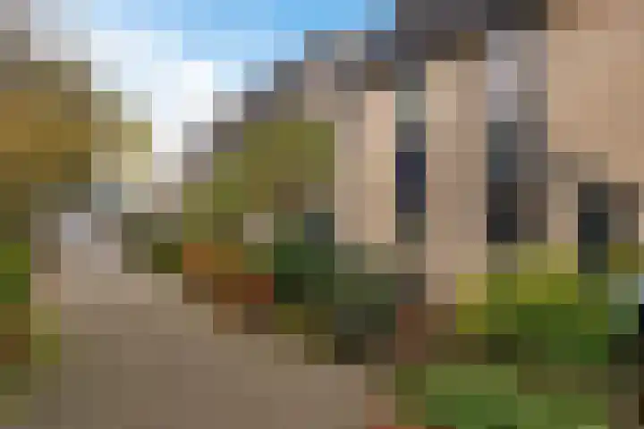 De Tribune 10 Zaandam thumbnail 9