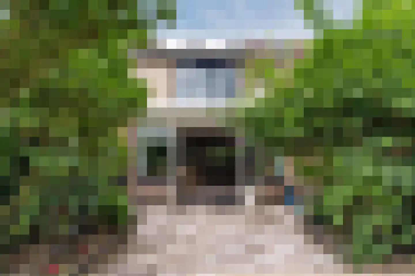 De Tribune 5 Zaandam thumbnail 20