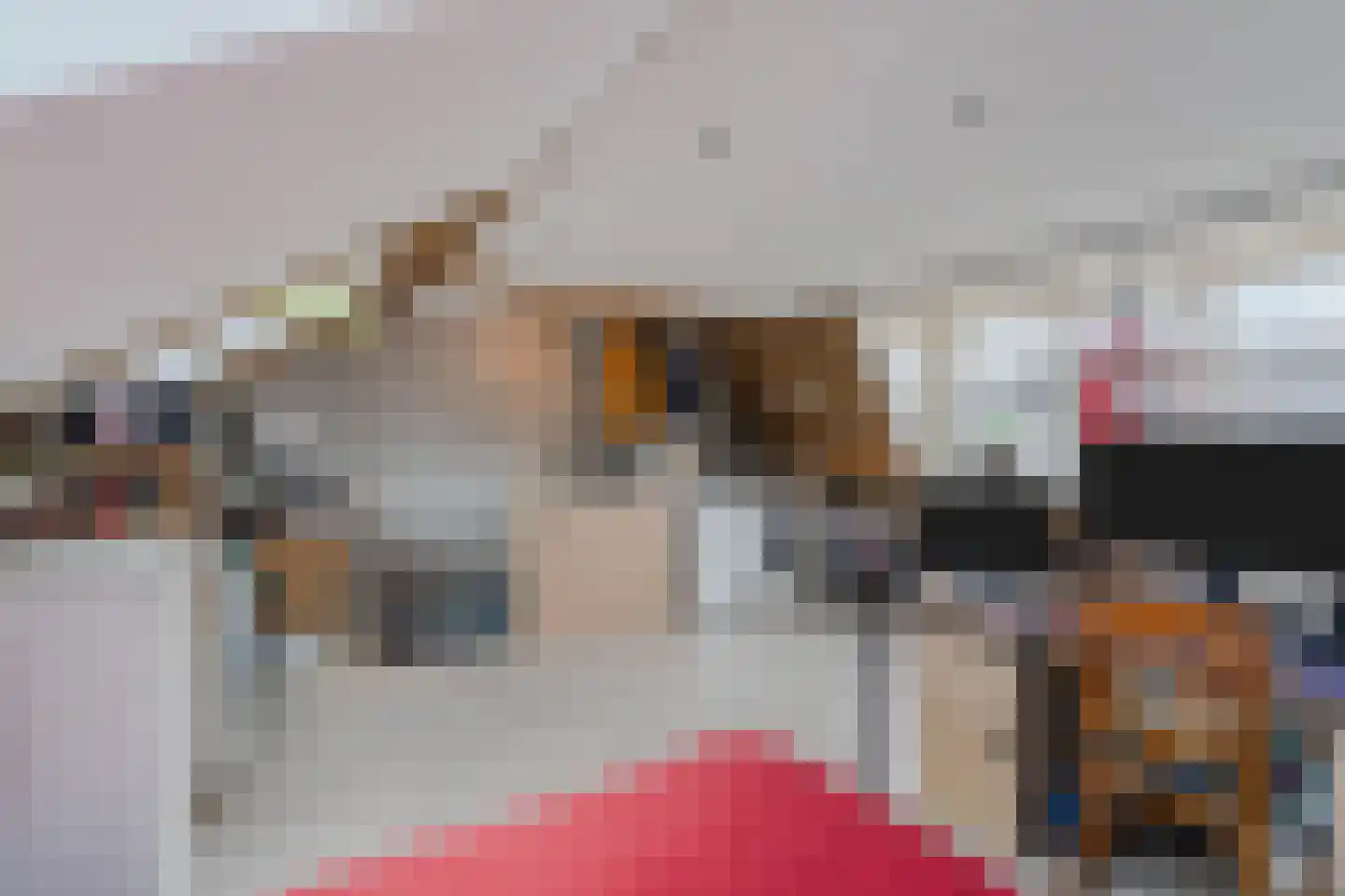 De Tribune 5 Zaandam thumbnail 34