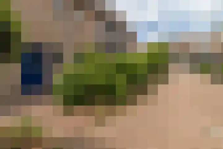 De Tribune 6 Zaandam thumbnail 30