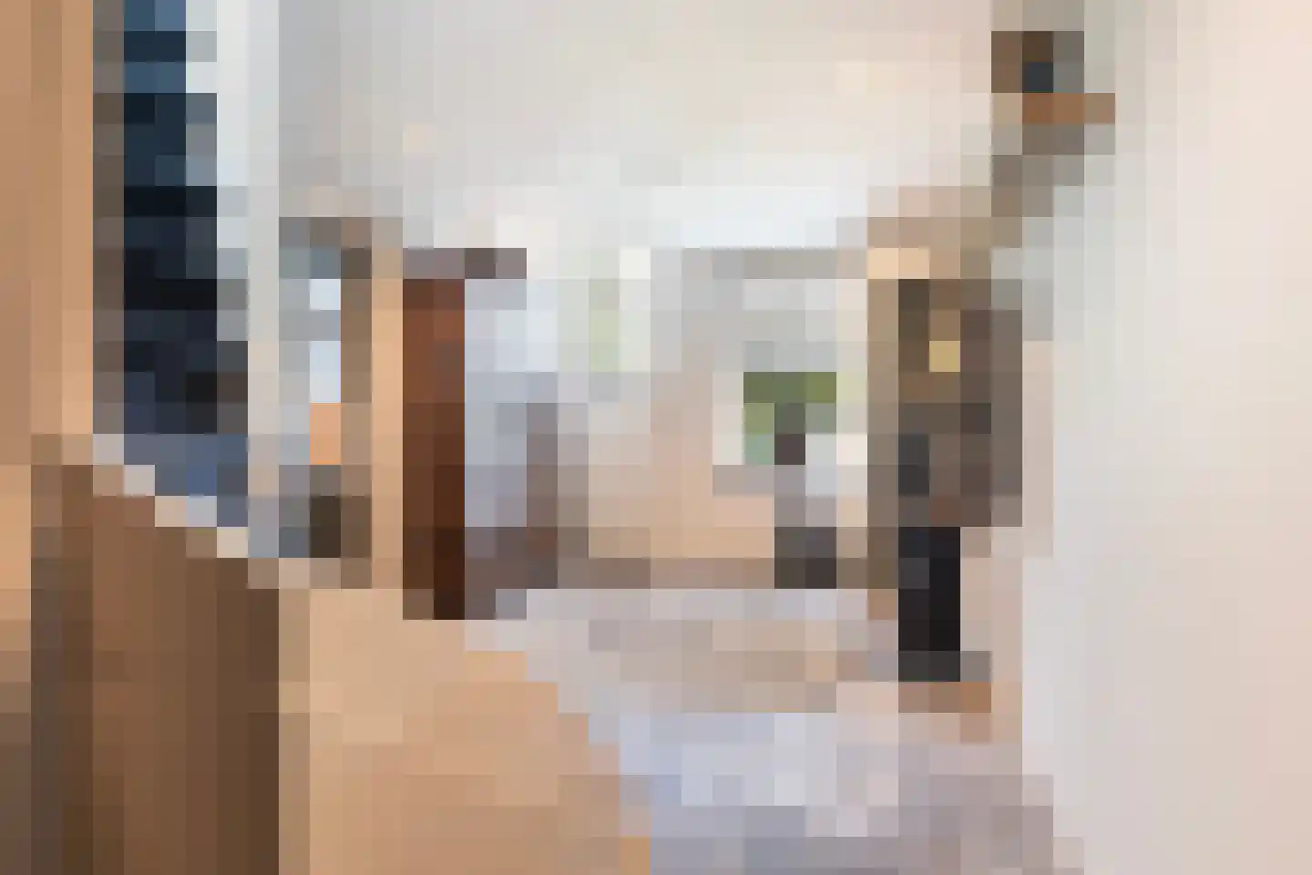 De Trieme 20 De Trieme thumbnail 10