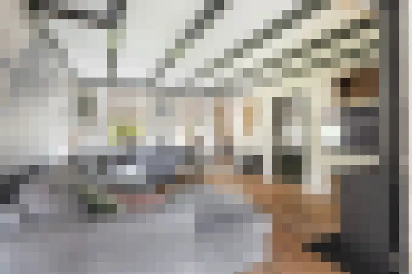De Trieme 20 De Trieme thumbnail 11