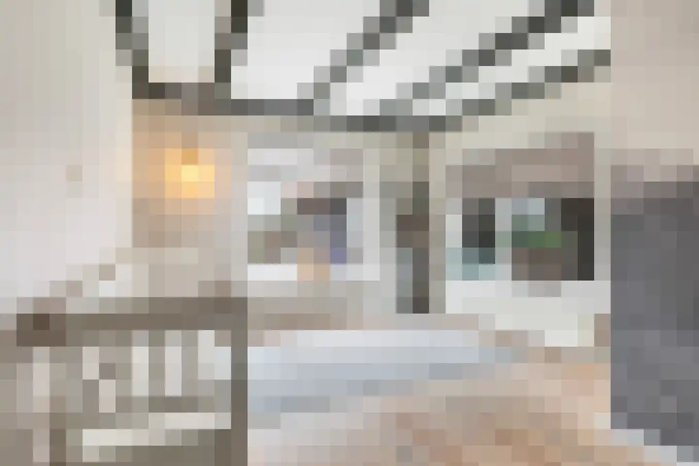 De Trieme 20 De Trieme thumbnail 13