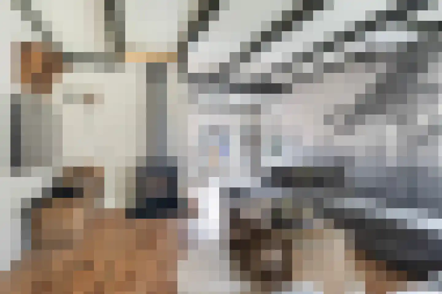 De Trieme 20 De Trieme thumbnail 14