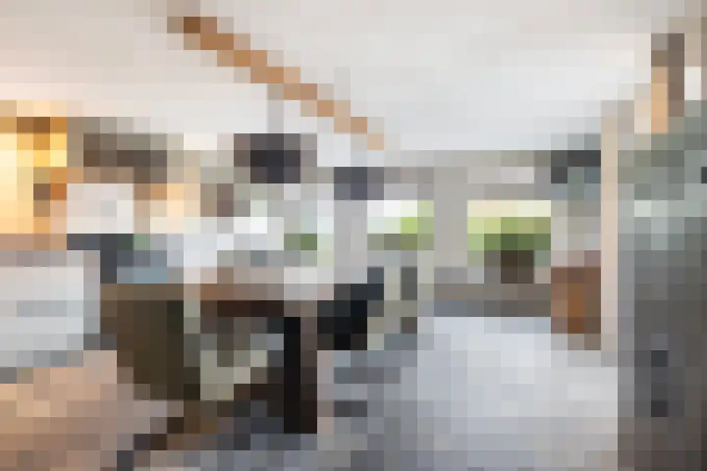 De Trieme 20 De Trieme thumbnail 15