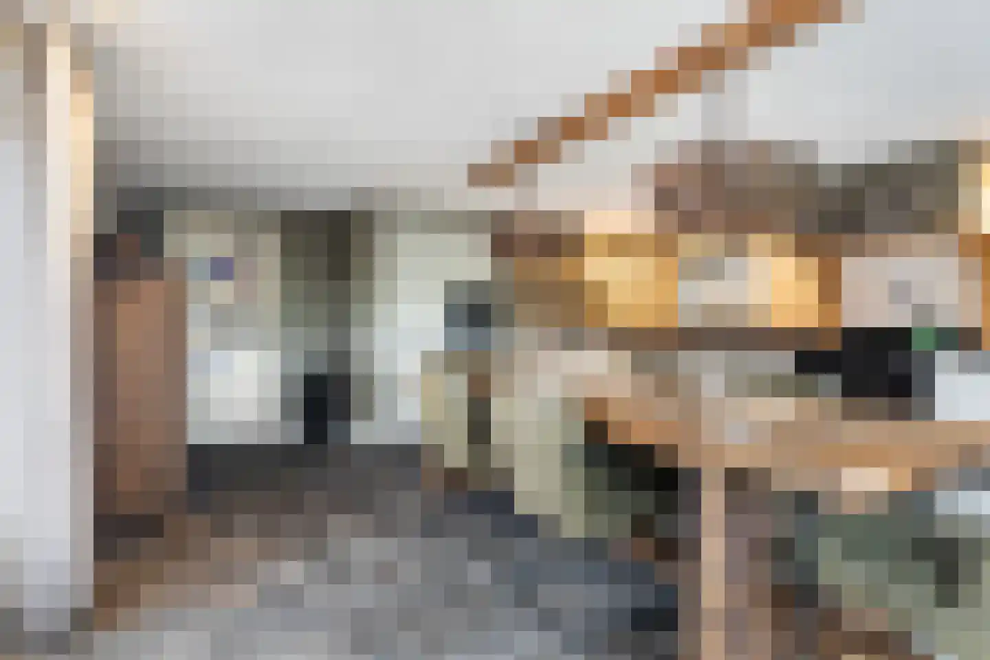De Trieme 20 De Trieme thumbnail 18