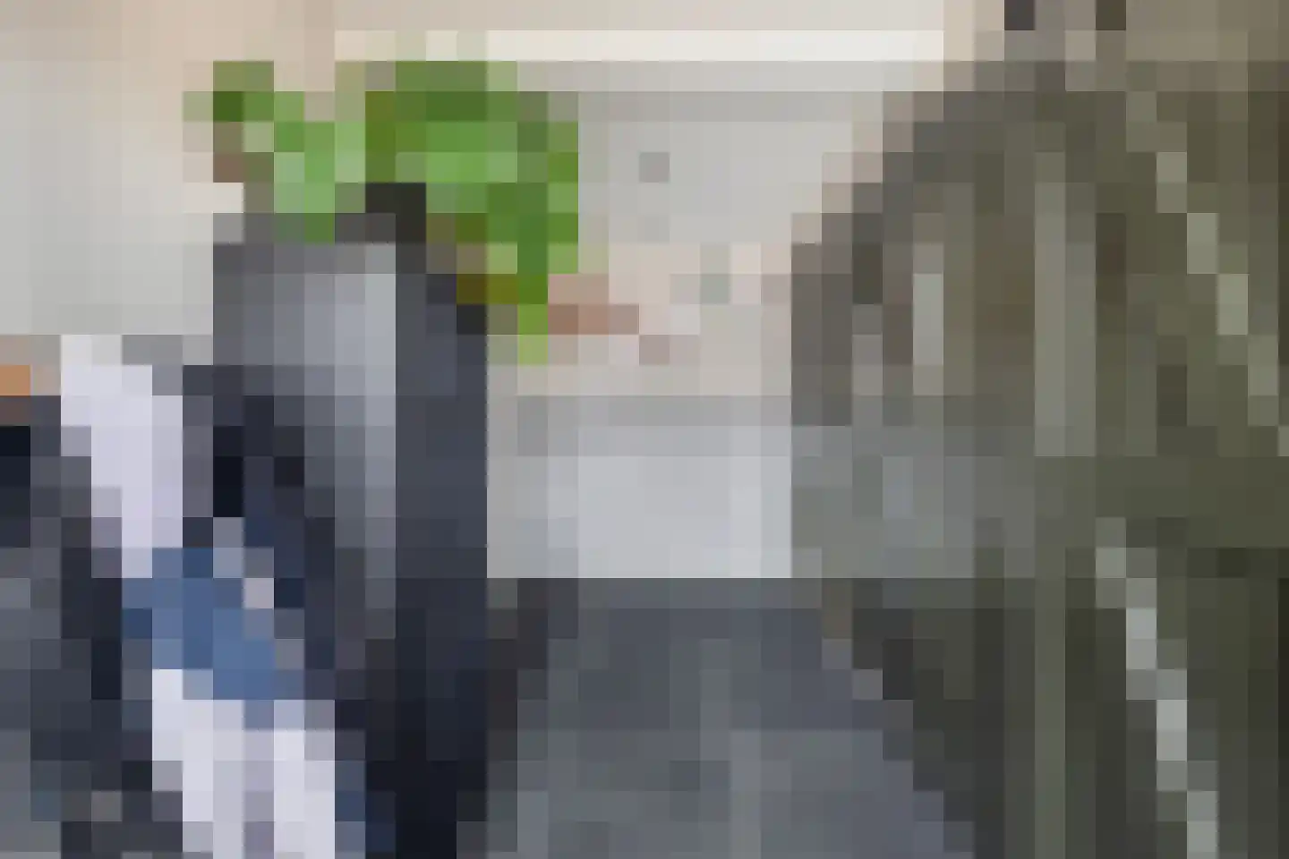 De Trieme 20 De Trieme thumbnail 19